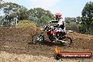 MRMC Motorcross Day Broadford 20 01 2013 - SH6_8744