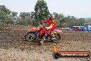 MRMC Motorcross Day Broadford 20 01 2013 - SH6_8974