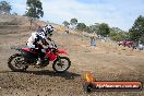 MRMC Motorcross Day Broadford 20 01 2013 - SH7_0148