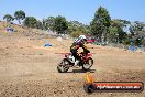 MRMC Motorcross Day Broadford 20 01 2013 - SH7_1005