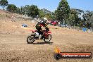 MRMC Motorcross Day Broadford 20 01 2013 - SH7_1079