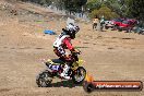 MRMC Motorcross Day Broadford 20 01 2013 - SH7_1248