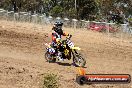 MRMC Motorcross Day Broadford 20 01 2013 - SH7_1404