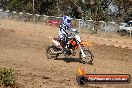 MRMC Motorcross Day Broadford 20 01 2013 - SH7_1422