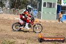 MRMC Motorcross Day Broadford 20 01 2013 - SH7_1435