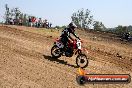 MRMC Motorcross Day Broadford 20 01 2013 - SH7_1496