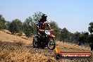 MRMC Motorcross Day Broadford 20 01 2013 - SH7_1678