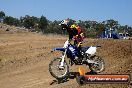 MRMC Motorcross Day Broadford 20 01 2013 - SH7_3211