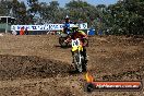 MRMC Motorcross Day Broadford 20 01 2013 - SH7_3251