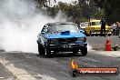 Slamfest Heathcote Park VIC 2013 - JA1_7087