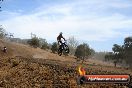 MRMC Motorcross Day Broadford 10 02 2013 - SH9_1465