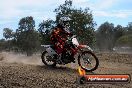 MRMC Motorcross Day Broadford 10 02 2013 - SH9_1548