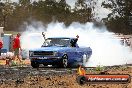 NSW Pro Burnouts 02 02 2013 - 20130202-JC-NSW-Pro-Burnouts_1223