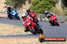 Champions Ride Day Broadford 11 03 2013 - 0SH_2482