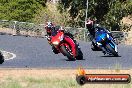 Champions Ride Day Broadford 11 03 2013 - 0SH_2490