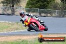 Champions Ride Day Broadford 13 04 2013 - 2SH_9758