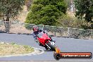 Champions Ride Day Broadford 13 04 2013 - 3SH_0427