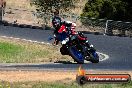 Champions Ride Day Broadford 21 04 2013 - 3SH_6913