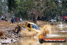 Heathcote Park Test n Tune & 4X4 swamp racing 14 04 2013 - JA2_5983