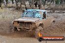 Heathcote Park Test n Tune & 4X4 swamp racing 14 04 2013 - JA2_6450