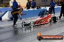 2013 NITRO CHAMPS Sydney Dragway - OF5A4142