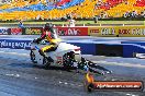 2013 NITRO CHAMPS Sydney Dragway - OF5A4455