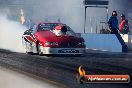 2013 NITRO CHAMPS Sydney Dragway - OF5A4977