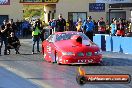 2013 NITRO CHAMPS Sydney Dragway - OF5A5010