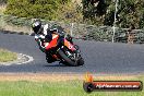 Champions Ride Day Broadford 10 06 2013 - 6SH_8445