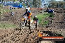 MRMC MotorX Ride Day Broadford 16 06 2013 - 7SH_7818