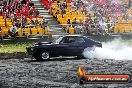 Burnout Mania NSW 07 10 2013 - 20131007-JC-BurnoutMania-1036