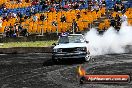 Burnout Mania NSW 07 10 2013 - 20131007-JC-BurnoutMania-1551