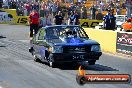 Fuchs Nitro Thunder Calder Park 19 10 2013 - HP1_3305