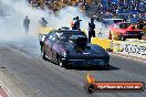 Fuchs Nitro Thunder Calder Park 19 10 2013 - HP1_3312