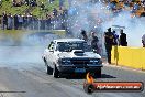 Fuchs Nitro Thunder Calder Park 19 10 2013 - HP1_3316