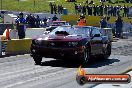 Fuchs Nitro Thunder Calder Park 19 10 2013 - HP1_3338