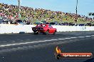 Fuchs Nitro Thunder Calder Park 19 10 2013 - HP1_3415