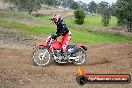 MRMC MotorX Ride Day Broadford 13 10 2013 - 2CR_9325