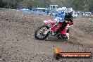 Champions Ride Days MotoX Broadford 27 10 2013 - 3CR_5173
