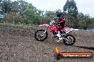 Champions Ride Days MotoX Broadford 27 10 2013 - 3CR_5175