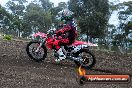 Champions Ride Days MotoX Broadford 27 10 2013 - 3CR_5178