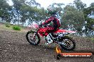 Champions Ride Days MotoX Broadford 27 10 2013 - 3CR_5179