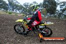Champions Ride Days MotoX Broadford 27 10 2013 - 3CR_5187