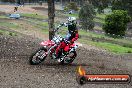 Champions Ride Days MotoX Broadford 27 10 2013 - 3CR_5196