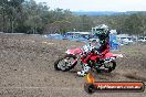 Champions Ride Days MotoX Broadford 27 10 2013 - 3CR_5199