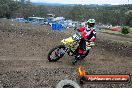 Champions Ride Days MotoX Broadford 27 10 2013 - 3CR_5211