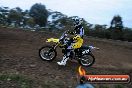 Champions Ride Days MotoX Broadford 27 10 2013 - 3CR_5246