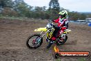 Champions Ride Days MotoX Broadford 27 10 2013 - 3CR_5257