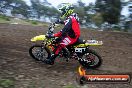 Champions Ride Days MotoX Broadford 27 10 2013 - 3CR_5259