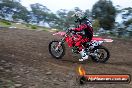 Champions Ride Days MotoX Broadford 27 10 2013 - 3CR_5271
